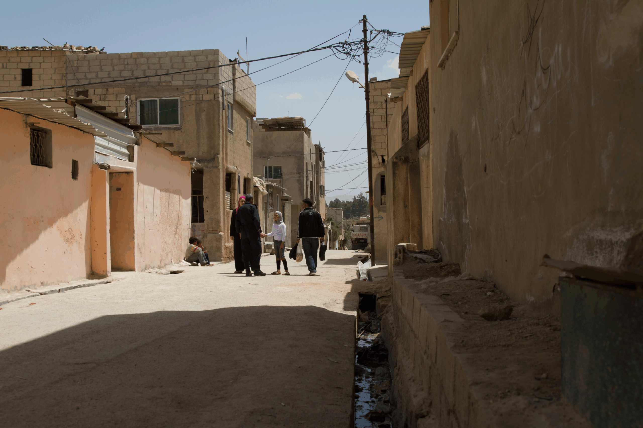 Refugees from a land never seen: the case of Gaza (Jerash) Camp in Jordan
